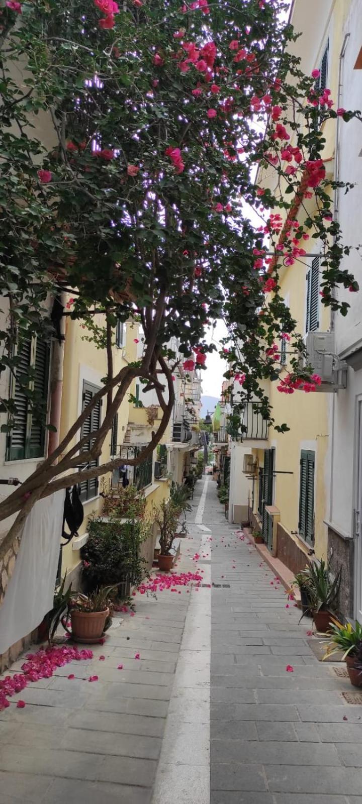 Villa La Casa Rosa Di Giulia Isquia Exterior foto